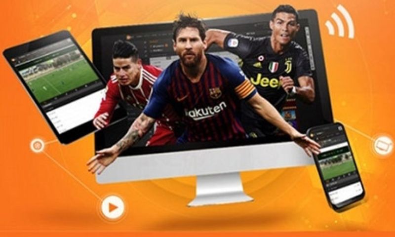 Phản ứng của cộng đồng có thể là nguyên nhân khiến tin đồn rs8sport lừa đảo lan rộng