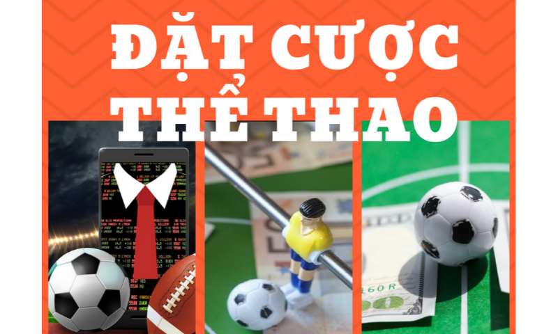 Những lợi ích của cá cược thể thao rs8sport